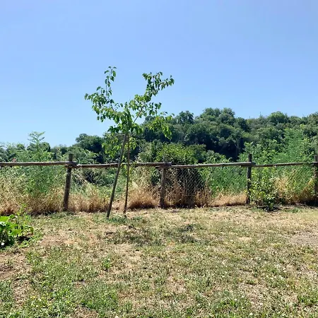 Il Granaio Tatil Evi *
