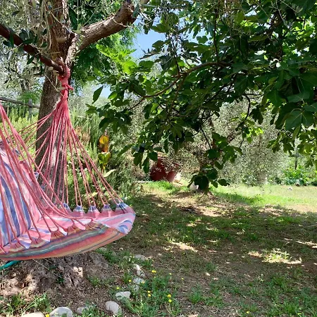 Il Granaio Tatil Evi *